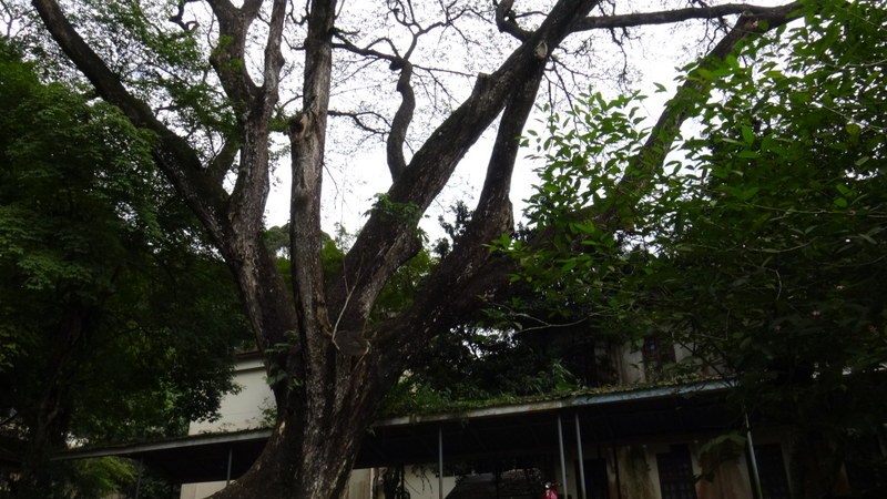 0855 DSC00035